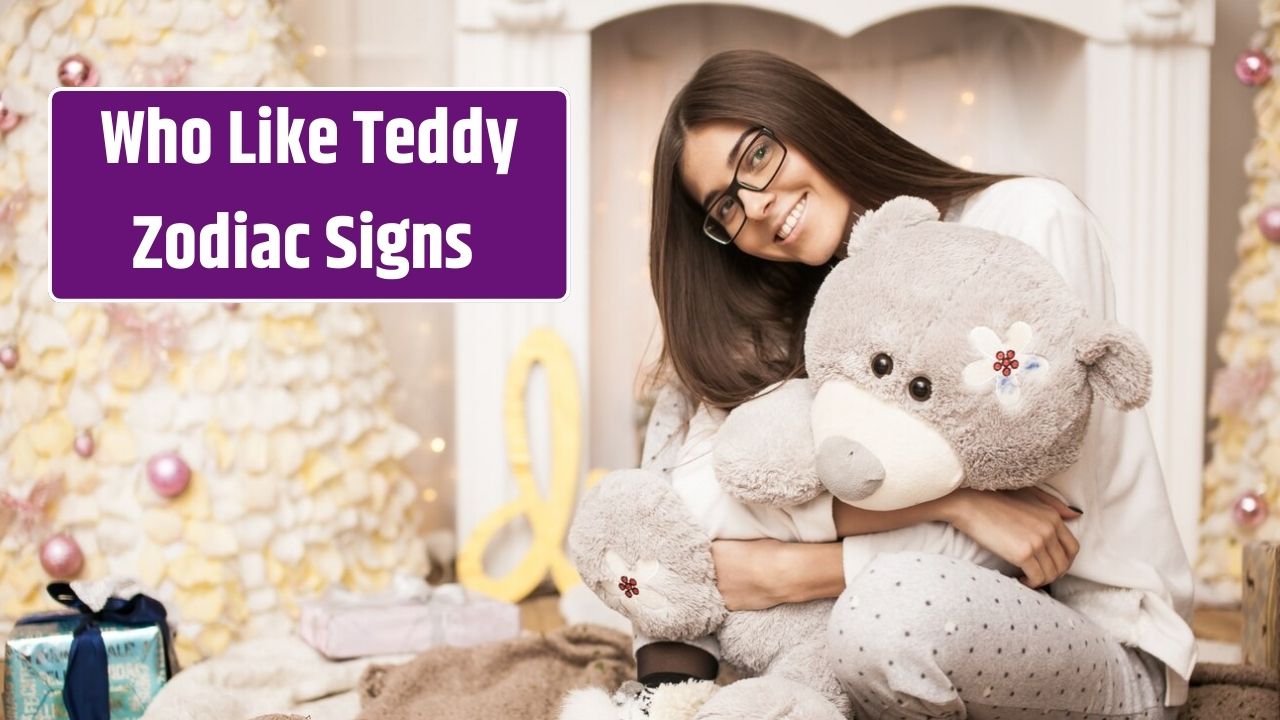 Top 5 Zodiac Signs Who Like Teddy